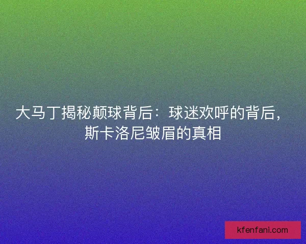 大马丁揭秘颠球背后：球迷欢呼的背后，斯卡洛尼皱眉的真相