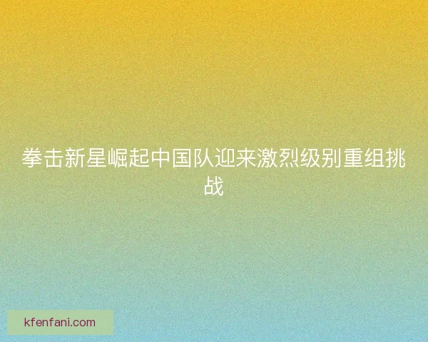 拳击新星崛起中国队迎来激烈级别重组挑战 拳击新星崛起中国队迎来激烈级别重组挑战