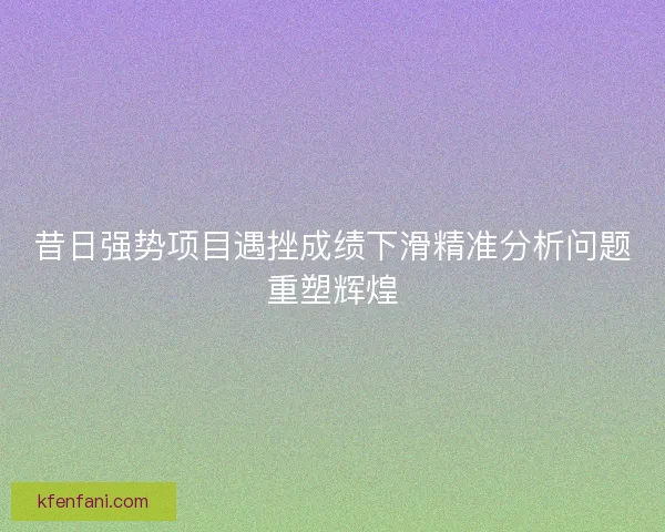 昔日强势项目遇挫成绩下滑精准分析问题重塑辉煌